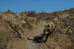 photo thumbnail #4