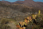 photo thumbnail #15