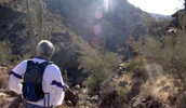 photo thumbnail #8