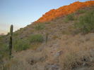 photo thumbnail #5