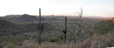 photo thumbnail #7