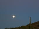 photo thumbnail #14