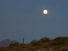 photo thumbnail #15