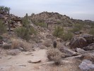 photo thumbnail #2