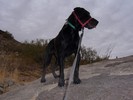 photo thumbnail #5