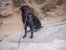 photo thumbnail #6