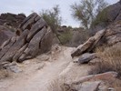 photo thumbnail #7
