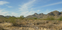 photo thumbnail #5