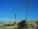photo thumbnail #15