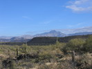 photo thumbnail #1