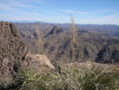photo thumbnail #8