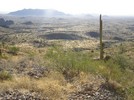 photo thumbnail #2
