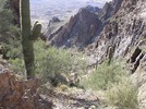 photo thumbnail #5