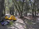 photo thumbnail #6