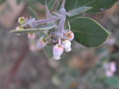 photo thumbnail #13