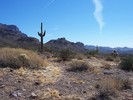 photo thumbnail #5