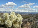 photo thumbnail #5