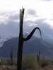 photo thumbnail #3