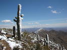 photo thumbnail #4