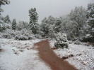 photo thumbnail #2