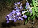 photo thumbnail #6