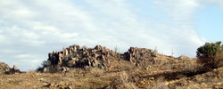 photo thumbnail #13