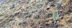photo thumbnail #14