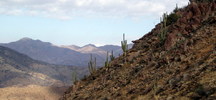 photo thumbnail #15