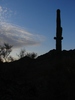 photo thumbnail #15