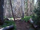 photo thumbnail #3