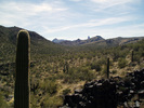 photo thumbnail #2