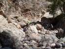 photo thumbnail #13