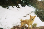 photo thumbnail #2