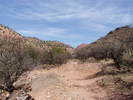 photo thumbnail #6