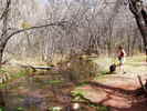 photo thumbnail #10