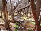 photo thumbnail #11