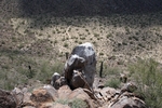 photo thumbnail #4