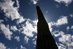 photo thumbnail #9