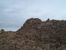 photo thumbnail #8