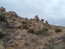 photo thumbnail #12