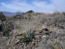 photo thumbnail #9