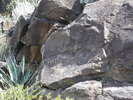 photo thumbnail #10