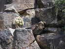photo thumbnail #12