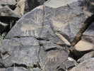 photo thumbnail #13