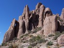 photo thumbnail #14