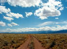 photo thumbnail #8