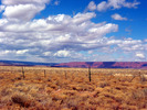 photo thumbnail #10