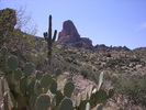 photo thumbnail #5