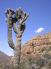 photo thumbnail #12
