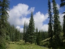 photo thumbnail #6